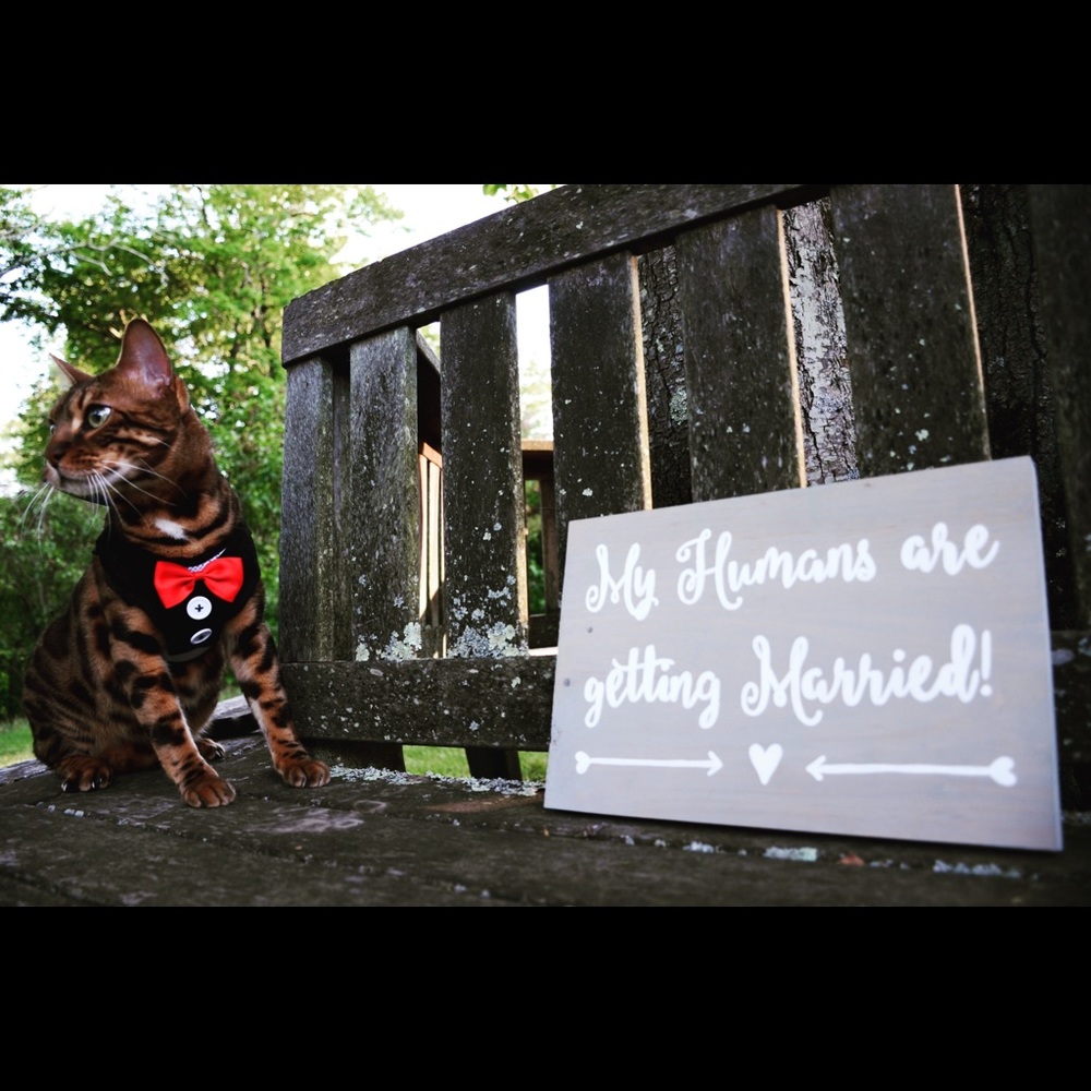 My humans are getting married sign